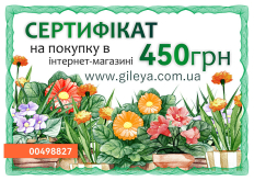 Сертифікат на 450 грн.