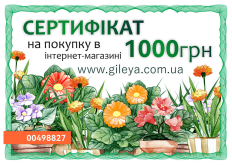 Сертифікат на 1000 грн. 