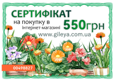 Сертифікат на 550 грн. 